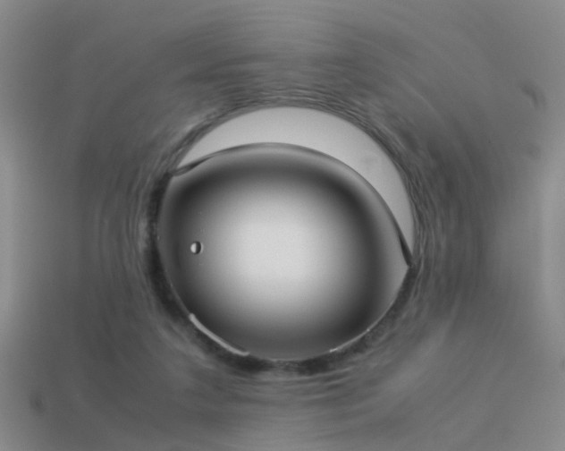 X0000114150211200910151551