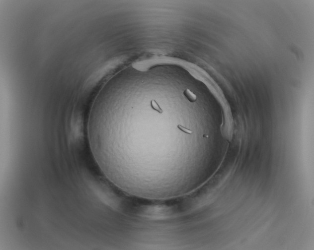 X0000114150212200910151551