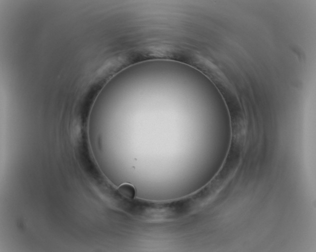 X0000114150213200910151551