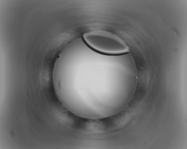 X0000114150215200910151551