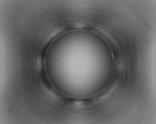 X0000114150216200910151551