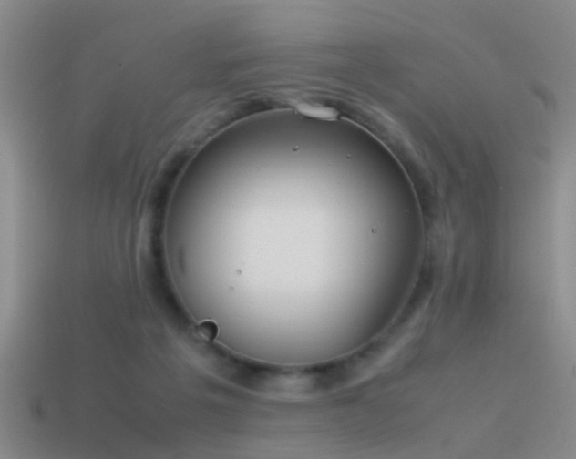 X0000114150217200910151551