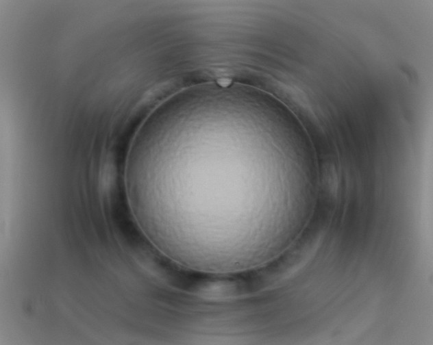 X0000114150220200910151551