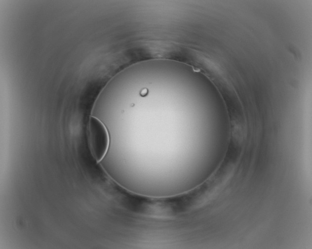 X0000114150221200910151551