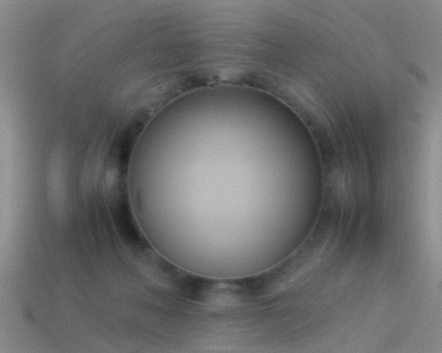 X0000114150222200910151551