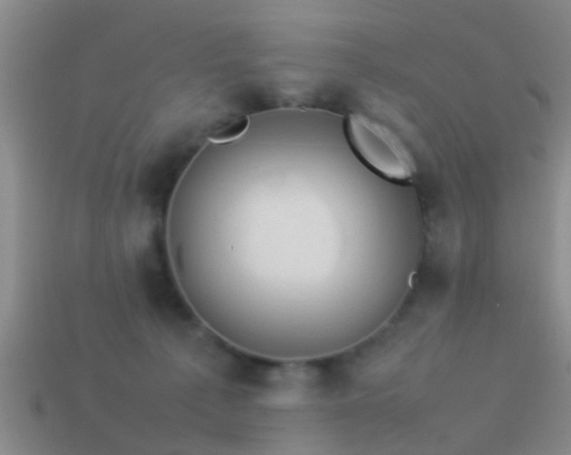 X0000114150225200910151551