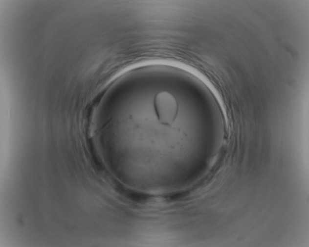 X0000114150227200910151551