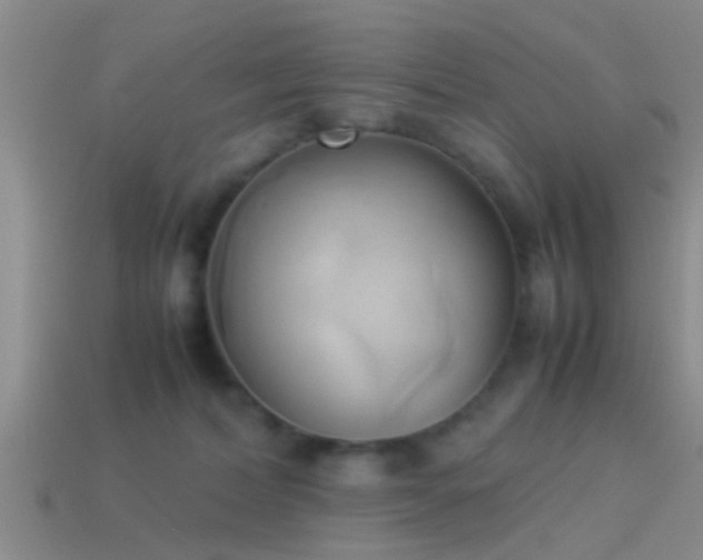 X0000114150228200910151551