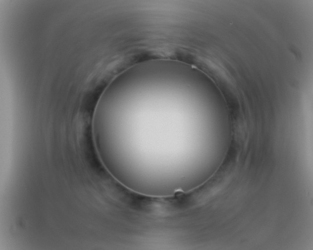 X0000114150229200910151551