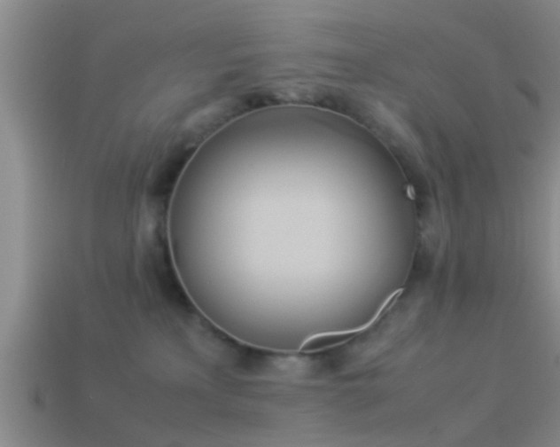 X0000114150233200910151551