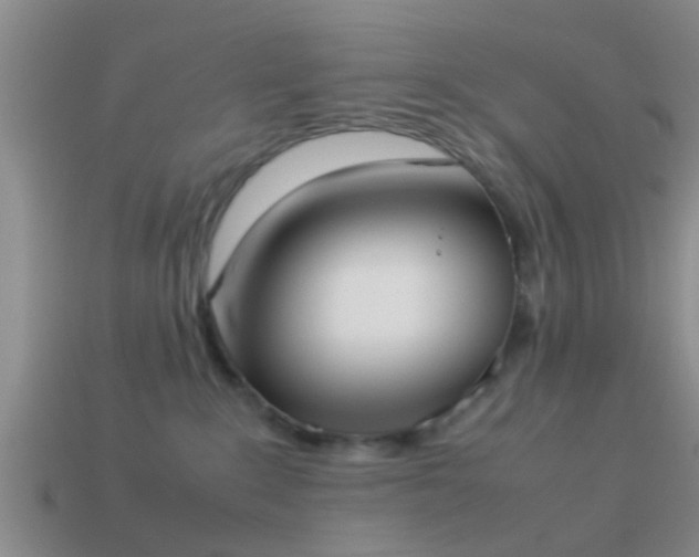 X0000114150235200910151551