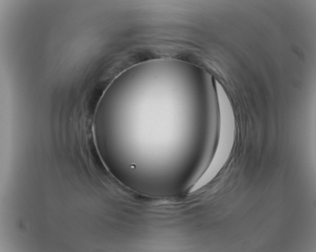 X0000114150237200910151551