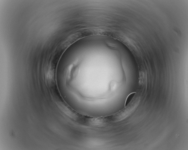 X0000114150238200910151551