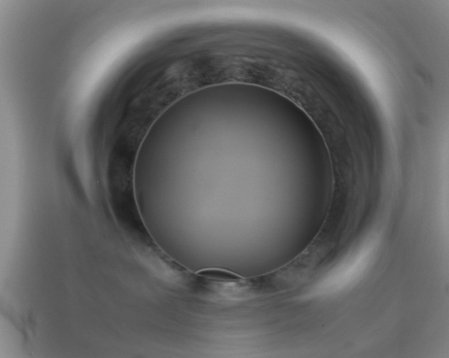 X0000114150239200910151551