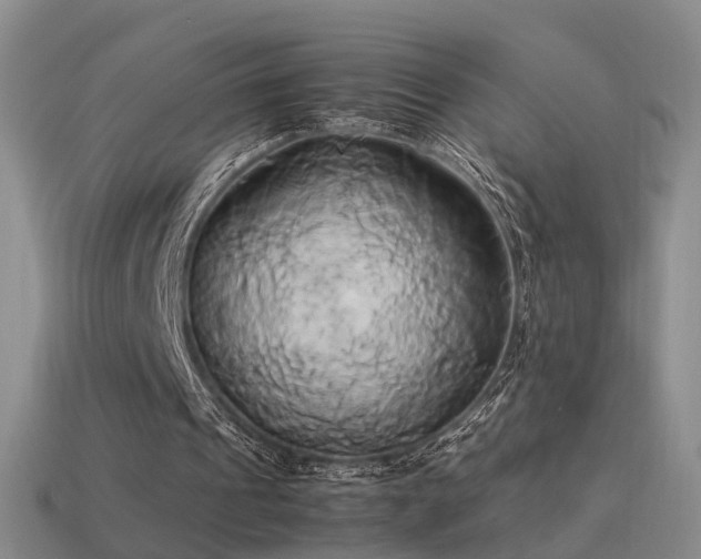 X0000114150241200910151550