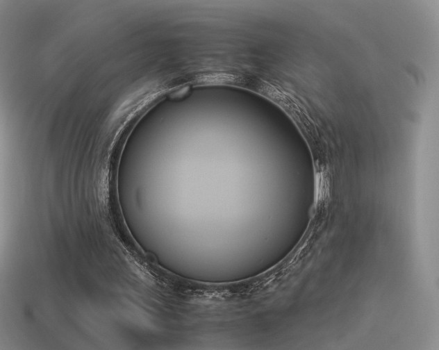 X0000114150243200910151550