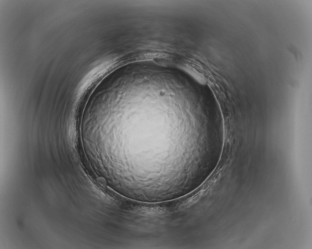 X0000114150245200910151550