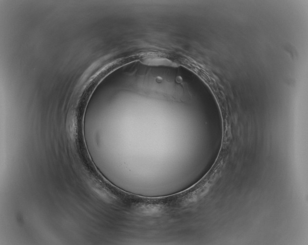 X0000114150247200910151550