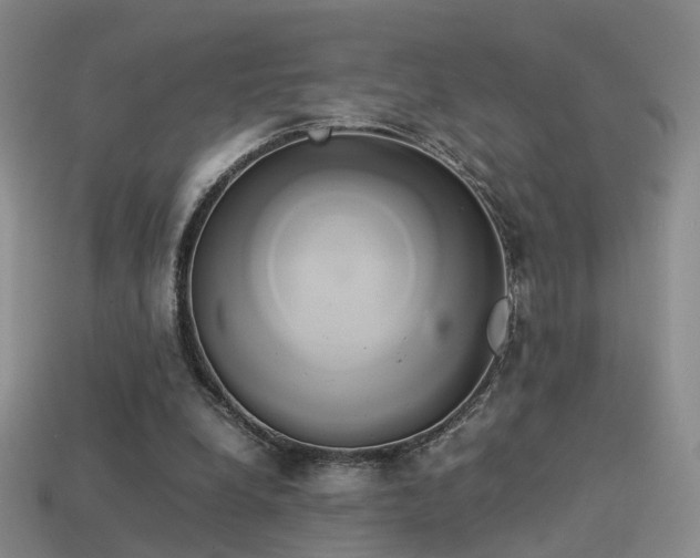 X0000114150248200910151550