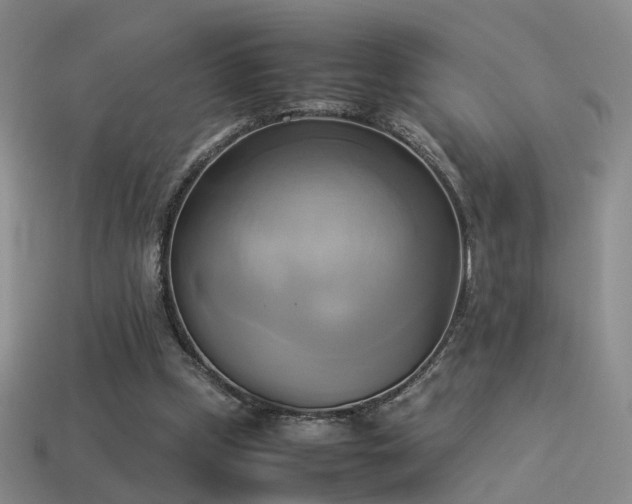 X0000114150249200910151550