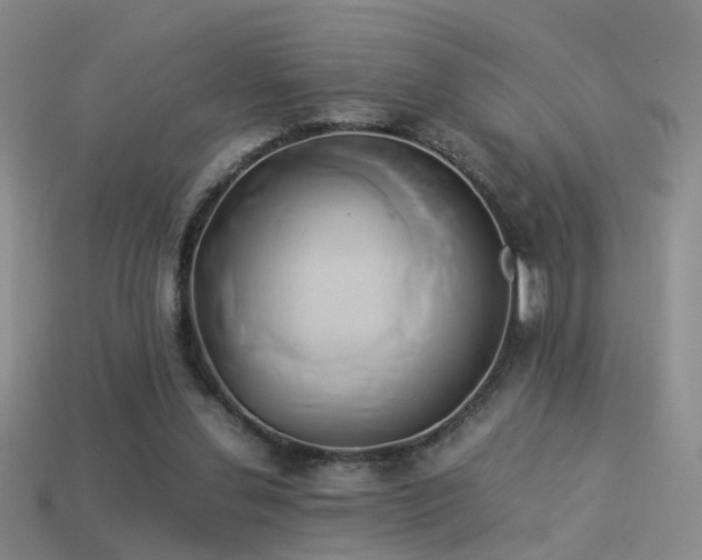 X0000114150252200910151550