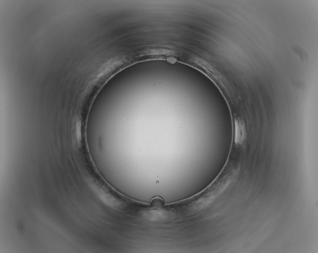 X0000114150253200910151550