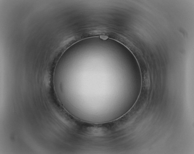 X0000114150255200910151551