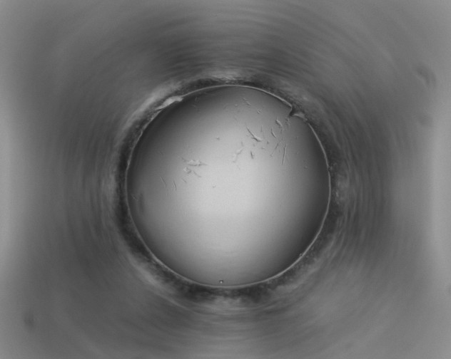 X0000114150256200910151551