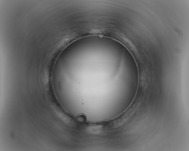 X0000114150257200910151551