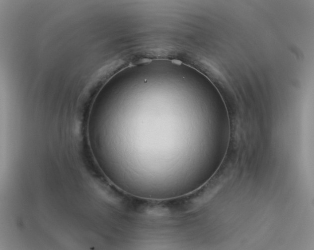 X0000114150258200910151551