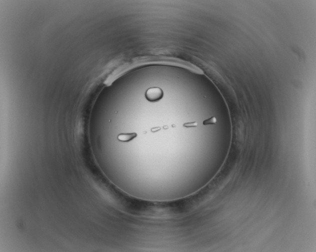 X0000114150260200910151551