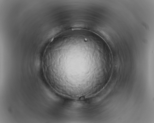 X0000114150261200910151551