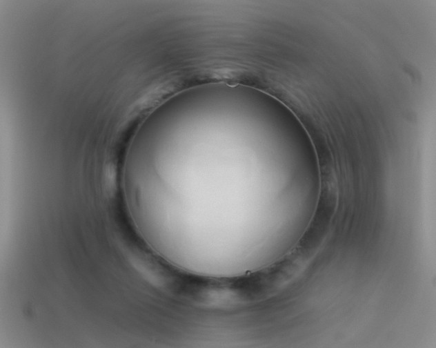 X0000114150262200910151551