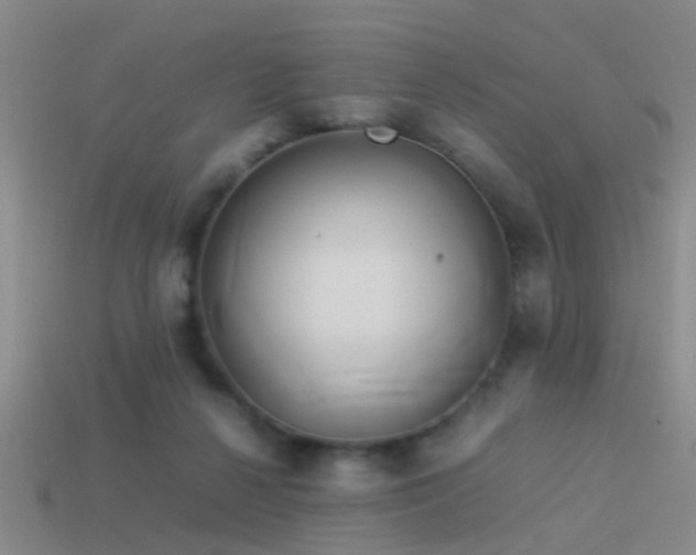 X0000114150264200910151551