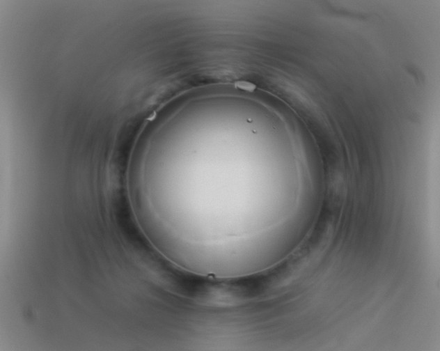 X0000114150268200910151551