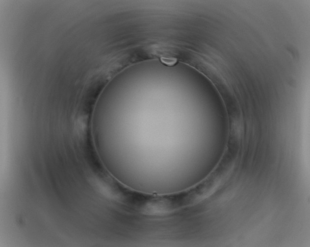 X0000114150271200910151551