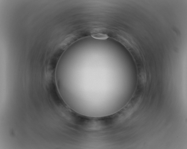 X0000114150276200910151551