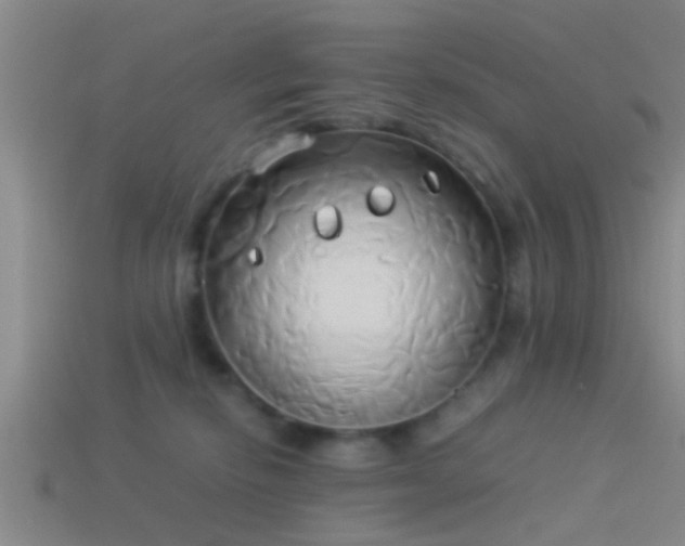 X0000114150278200910151551