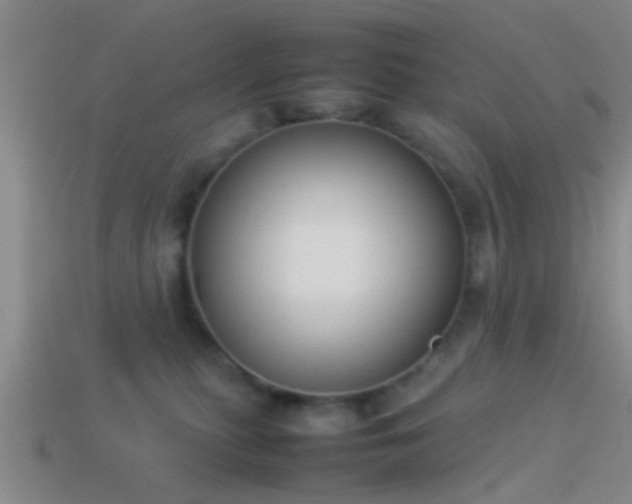 X0000114150279200910151551