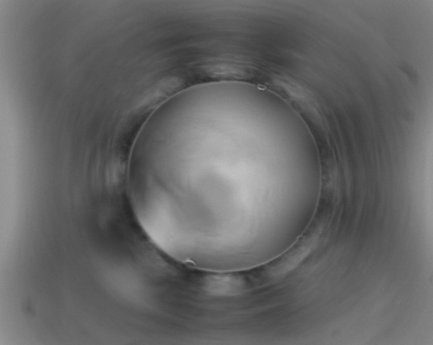 X0000114150281200910151551