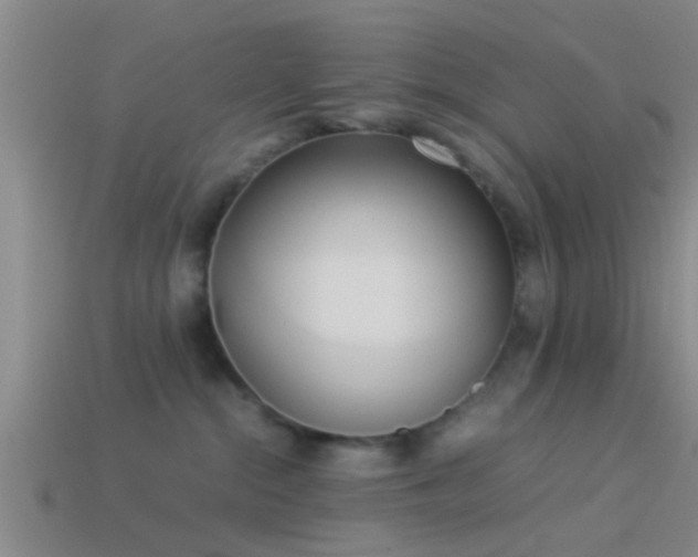 X0000114150284200910151551