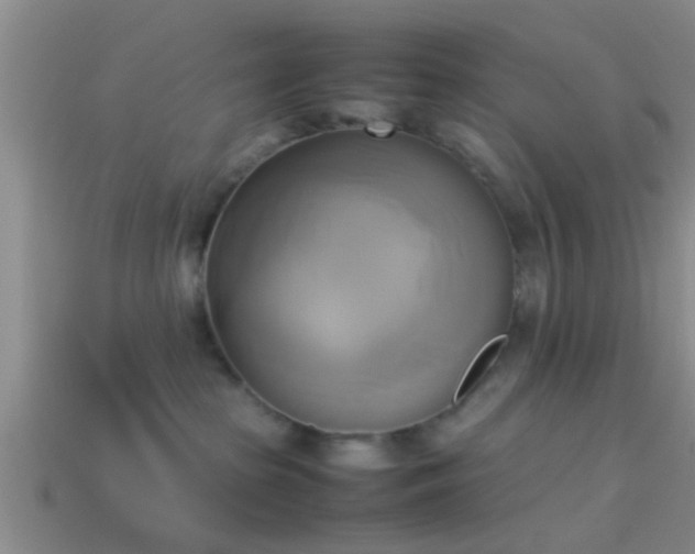 X0000114150285200910151551