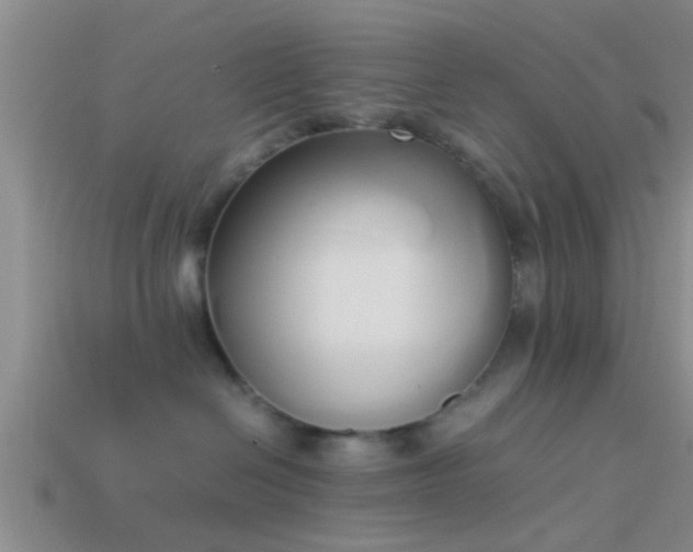 X0000114150286200910151551