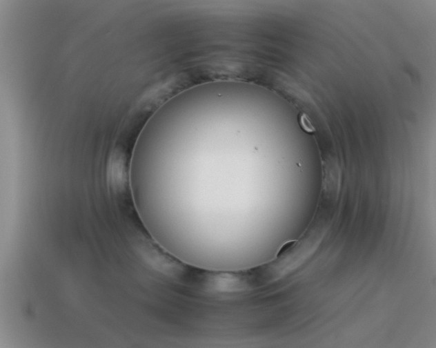 X0000114150287200910151551