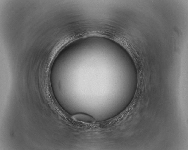 X0000114150289200910151550