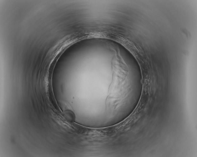 X0000114150290200910151550