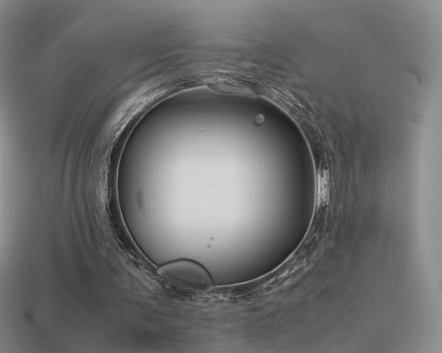 X0000114150291200910151550