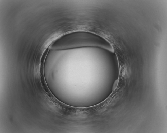 X0000114150292200910151550