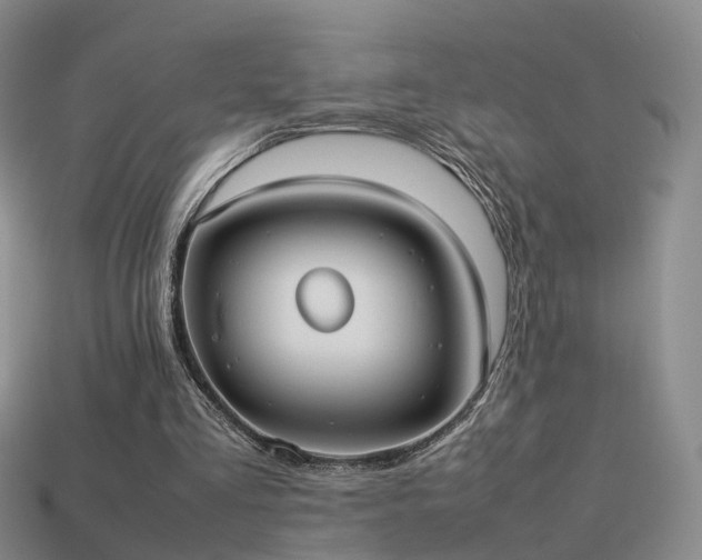 X0000114150293200910151550