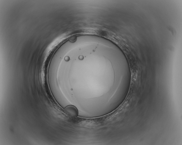 X0000114150294200910151550